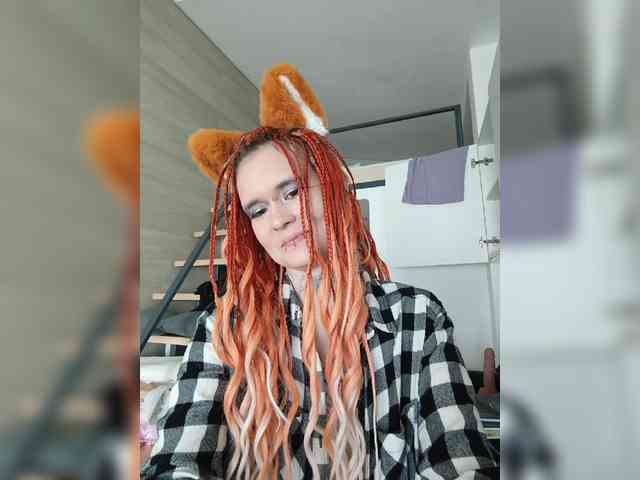 YukiFox webcam