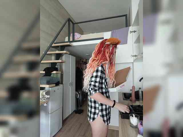 YukiFox webcam