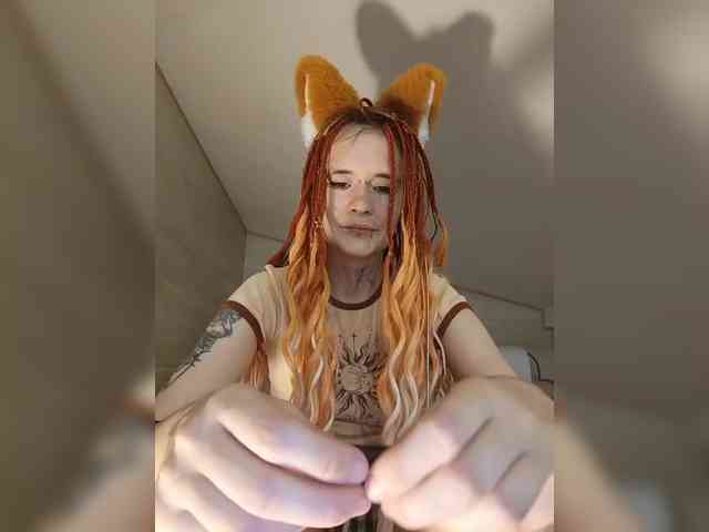 YukiFox webcam