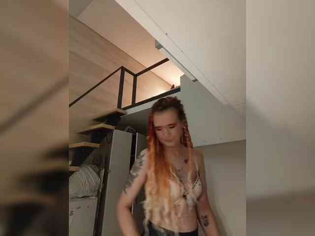 YukiFox webcam
