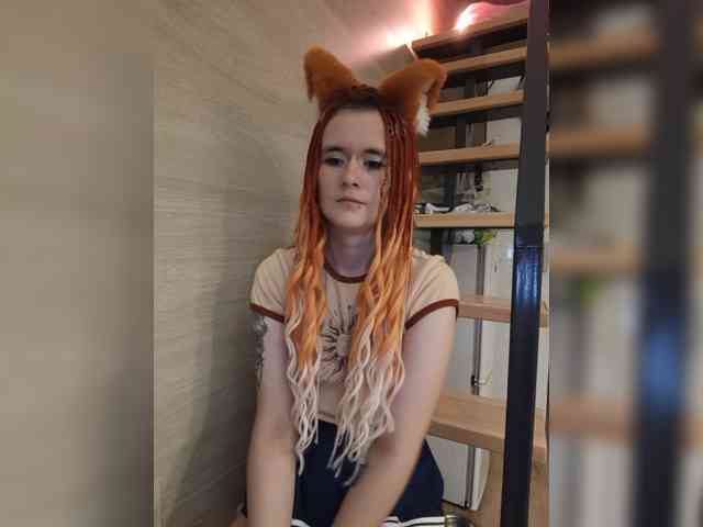 YukiFox webcam