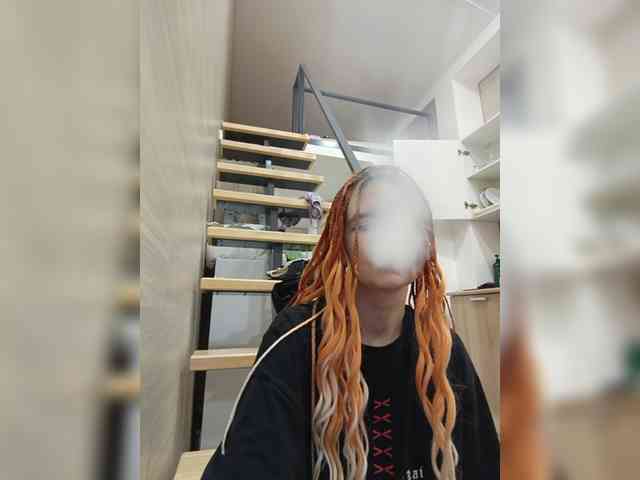 YukiFox webcam