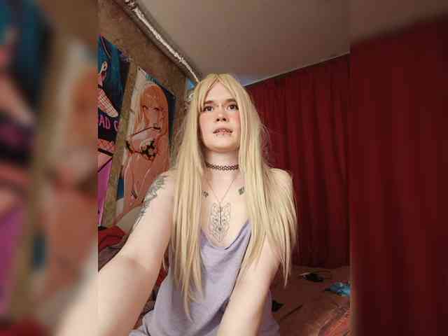 Colombina webcam