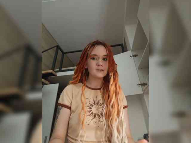 YukiFox webcam