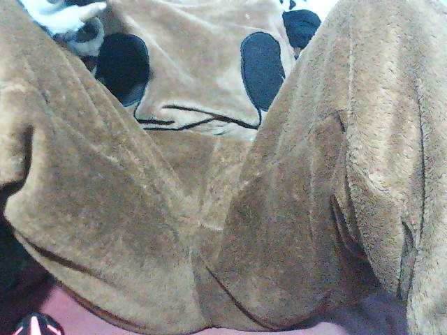 Nadjirh live cam on BongaCams