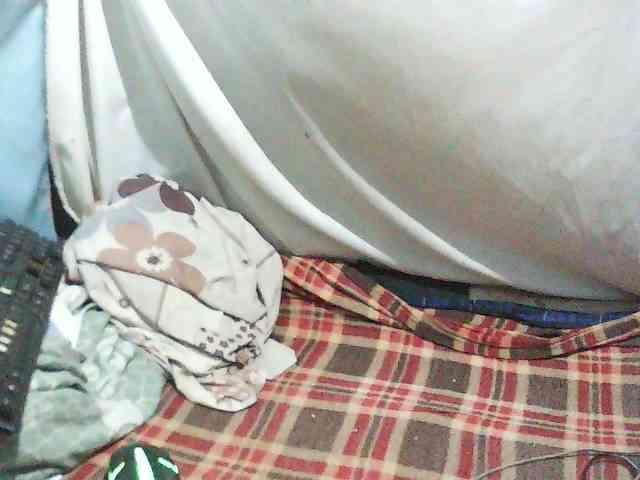 Nadjirh webcam