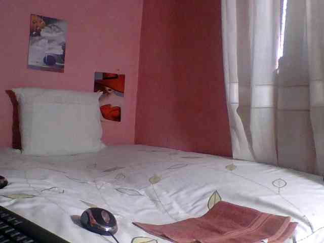 SYLVIANO webcam