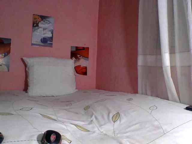 SYLVIANO webcam