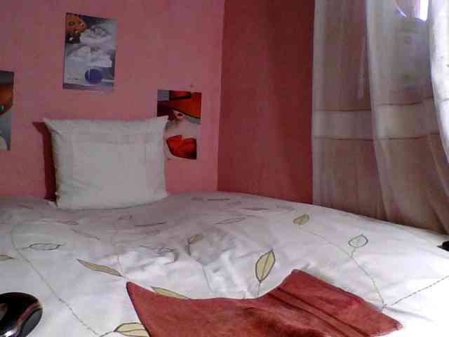 SYLVIANO webcam