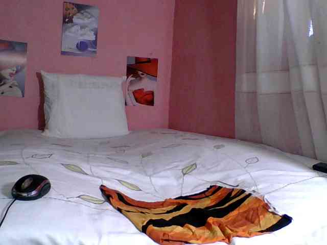 SYLVIANO webcam
