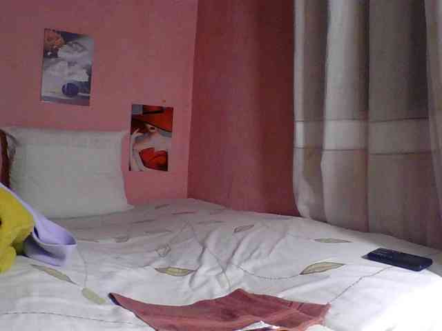 SYLVIANO webcam