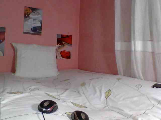 SYLVIANO webcam