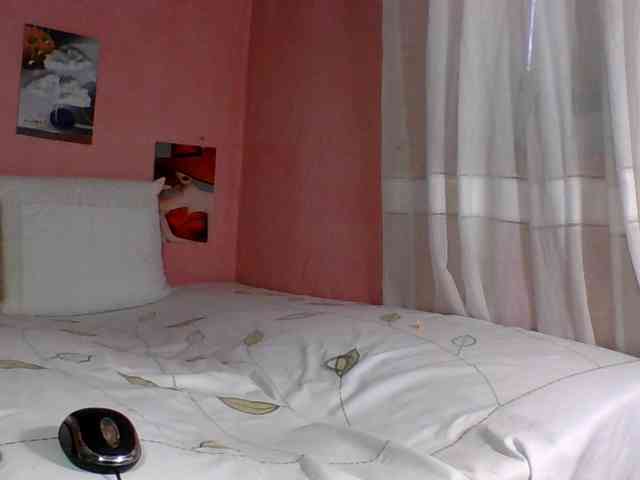 SYLVIANO webcam
