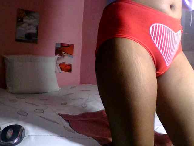 SYLVIANO webcam