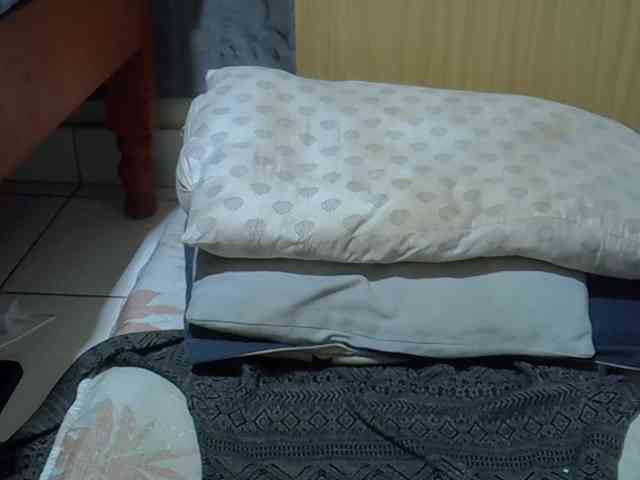 Ebonydora webcam