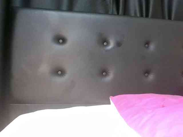 VelvetControl webcam
