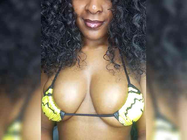 VelvetControl webcam