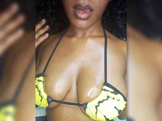 VelvetControl webcam