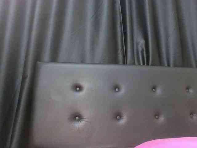 VelvetControl webcam