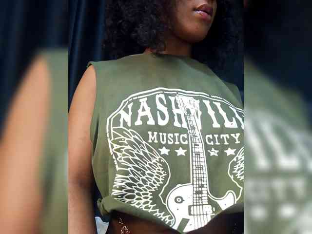 VelvetControl webcam