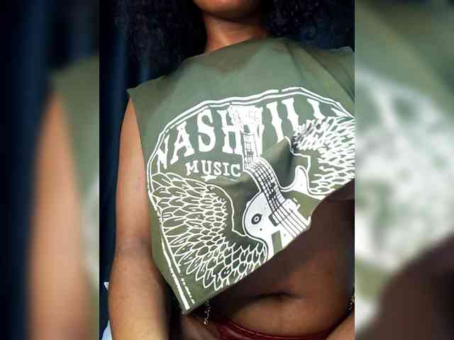 VelvetControl webcam