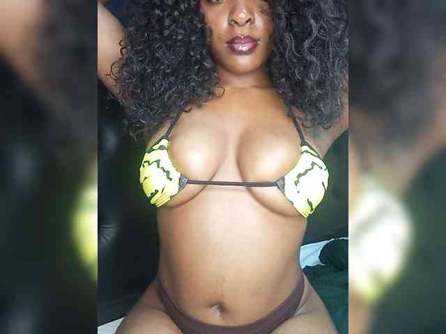 VelvetControl webcam