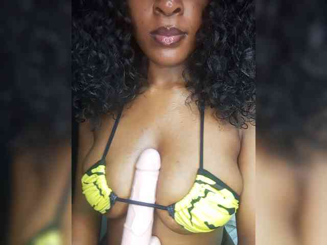 VelvetControl webcam