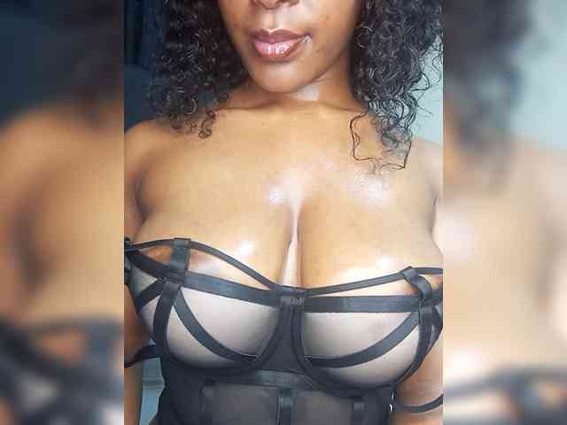 VelvetControl webcam