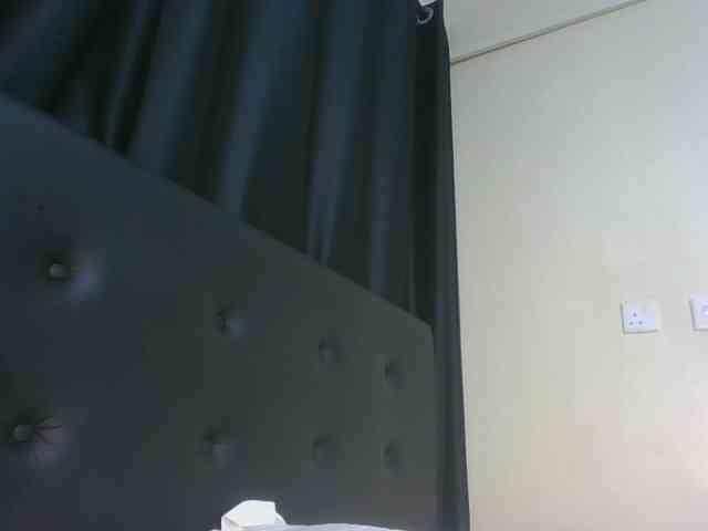 VelvetControl webcam