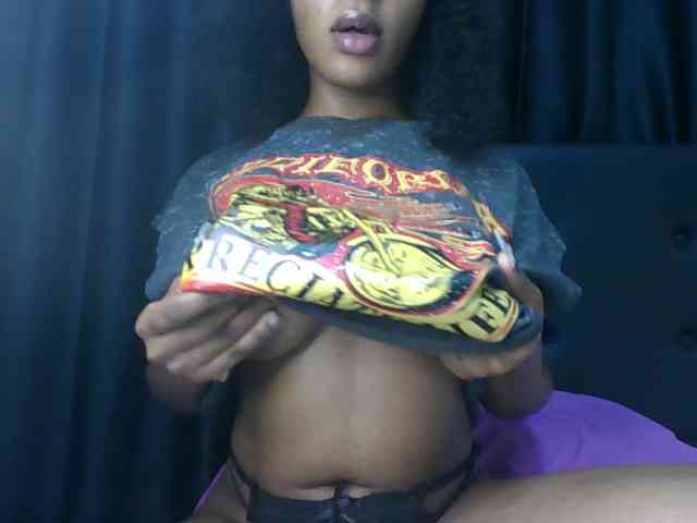 VelvetControl webcam