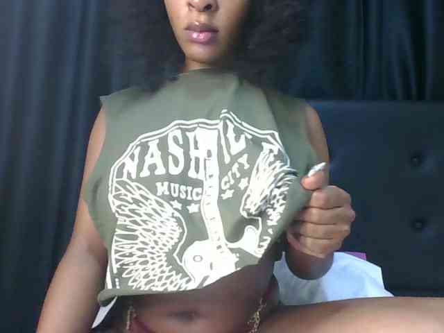 VelvetControl webcam