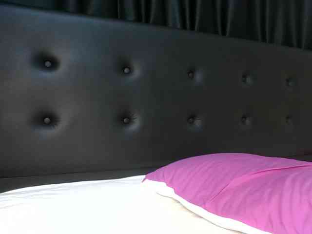 VelvetControl webcam
