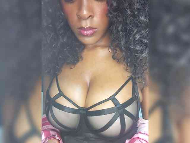 VelvetControl webcam