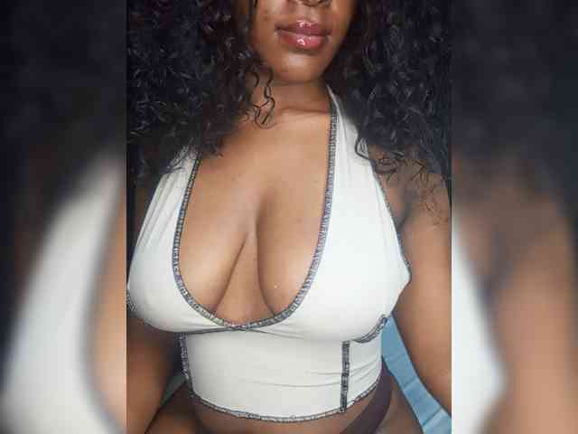 VelvetControl webcam