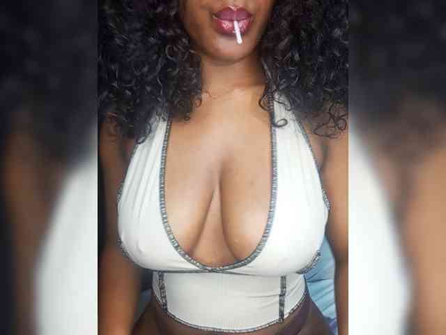 VelvetControl webcam