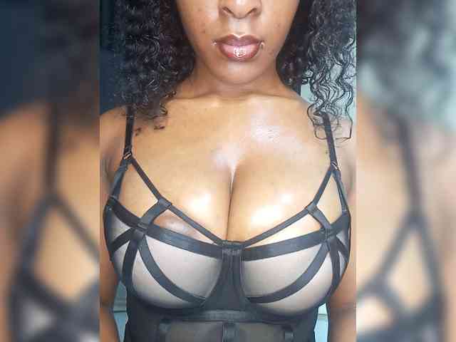 VelvetControl webcam