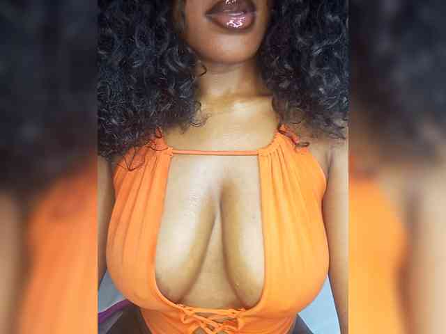 VelvetControl webcam