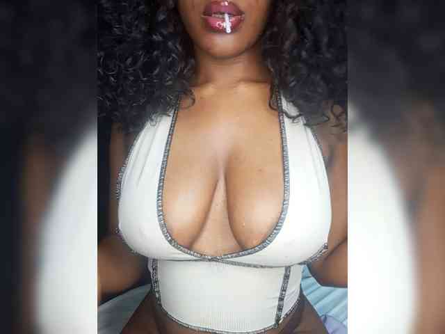 VelvetControl webcam