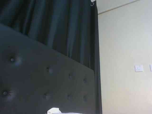 VelvetControl webcam