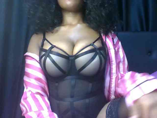 VelvetControl webcam