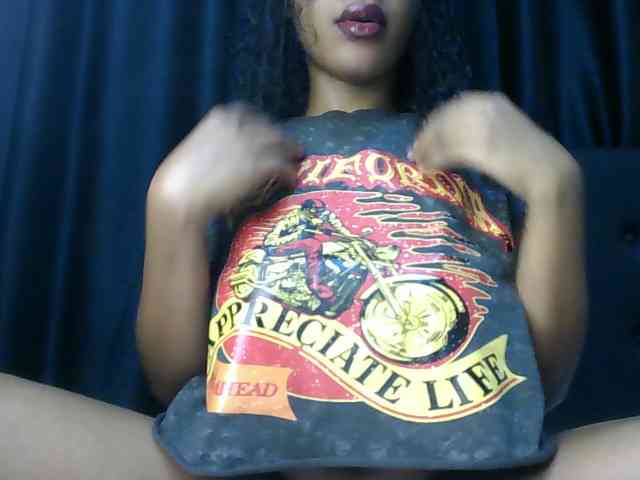 VelvetControl webcam