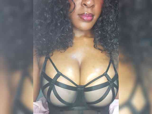 VelvetControl webcam