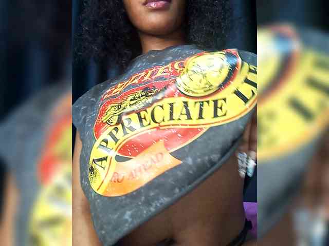 VelvetControl webcam