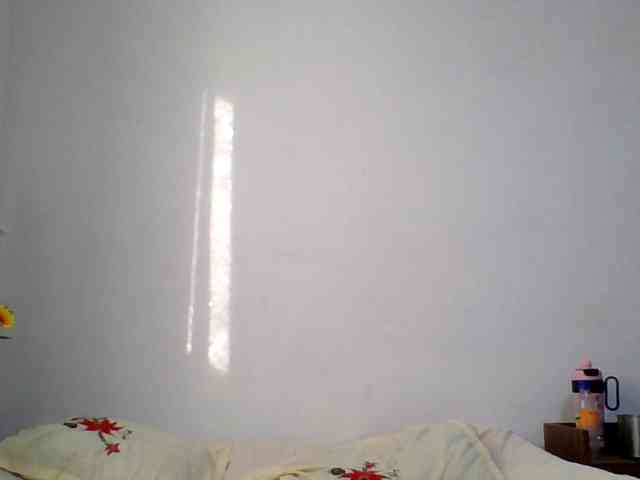 Pauliemarie webcam