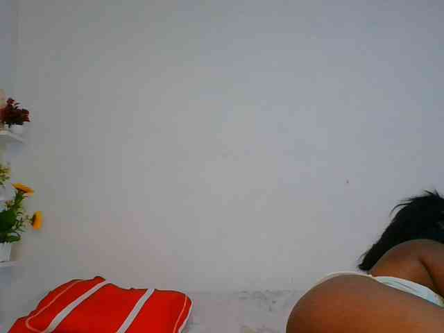 Pauliemarie webcam