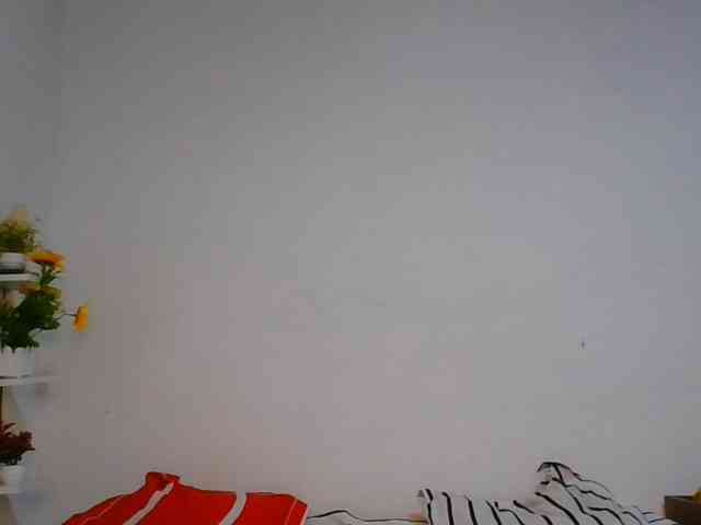 Pauliemarie webcam