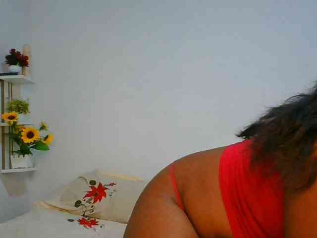 Pauliemarie webcam