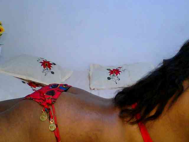 Pauliemarie webcam