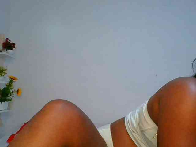 Pauliemarie webcam
