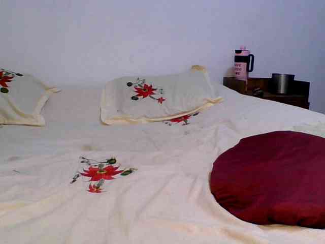 Pauliemarie webcam